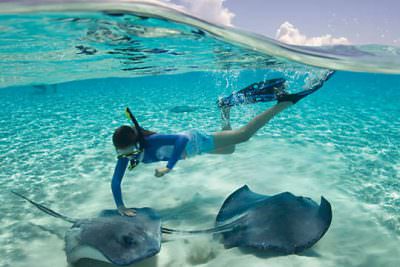 turks and caicos snorkeling with sting rays