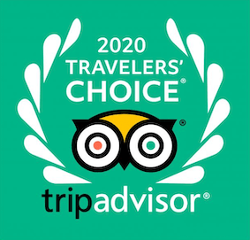 Trip Advisor Logo